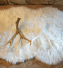 Lone Mule Deer Antler