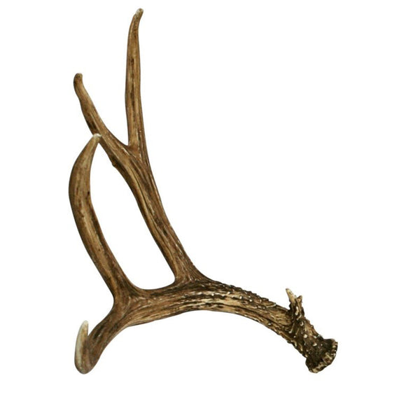 Lone Mule Deer Antler