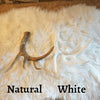 Lone Whitetail Antler