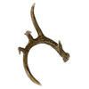 Lone Whitetail Antler