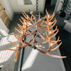 Forest Whitetail 12 Large Antler Table Chandelier