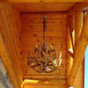 Forest Whitetail 12 Large Antler Chandelier
