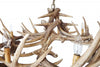 Forest Whitetail 15 Wide Faux Antler Chandelier