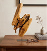 Fir Burl Wood Table Art