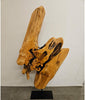 Fir Burl Wood Table Art