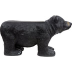 Black Bear Bench