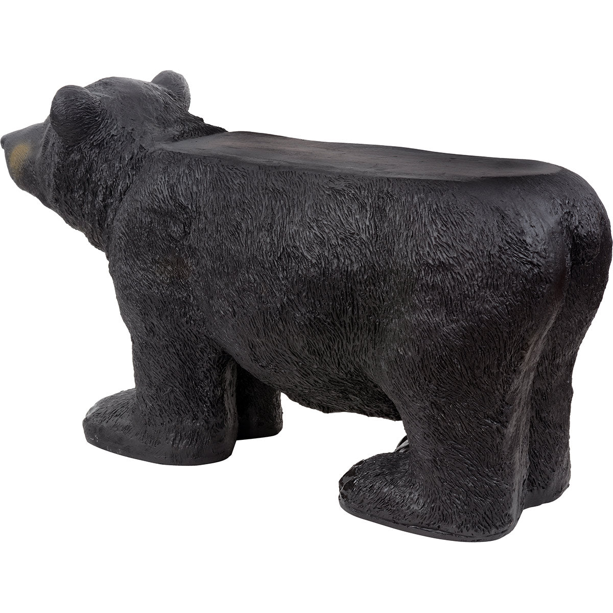 Black Bear Bench