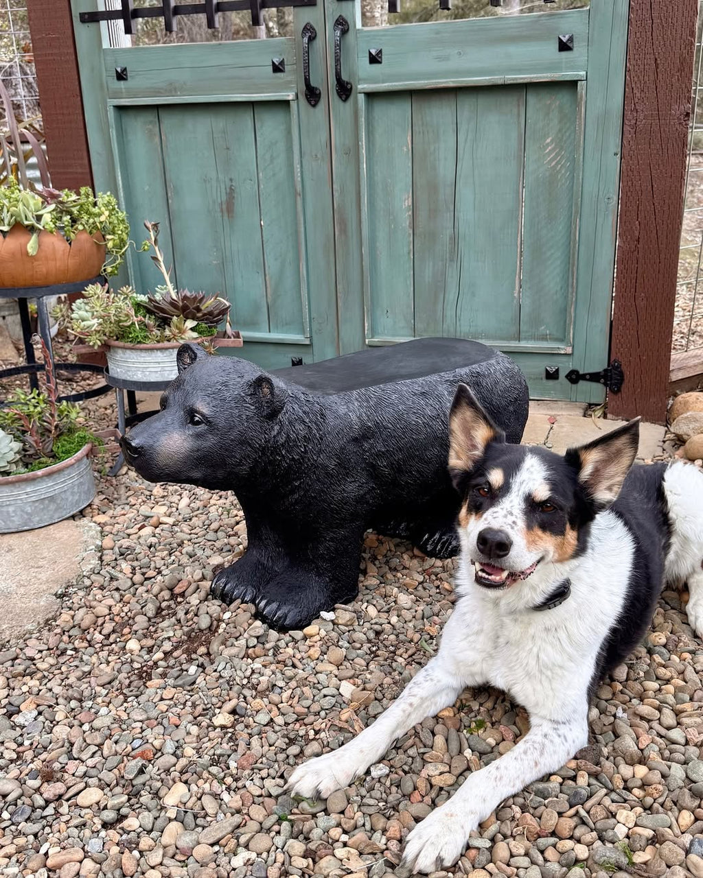 Black Bear Bench