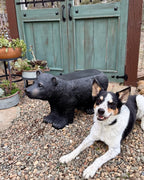 Black Bear Bench