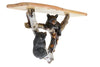 Bear on Tree Wall Shelf