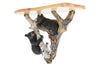 Bear on Tree Wall Shelf