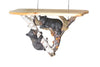 Bear on Tree Wall Shelf