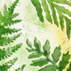 Fern Fronds Bird Bath