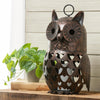Argos Owl LED Lantern