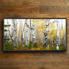 Morning Birch Grove Personalized Wall Art