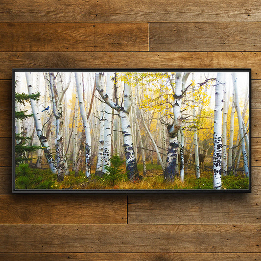 Morning Birch Grove Personalized Wall Art