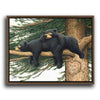 Loving Bears Personalized Float Framed Canvas - Small