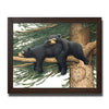 Loving Bears Personalized Framed Print