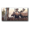 Yukon Moose Personalized Prints