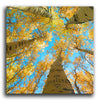 Aspen Sky Personalized Stretched Canvases
