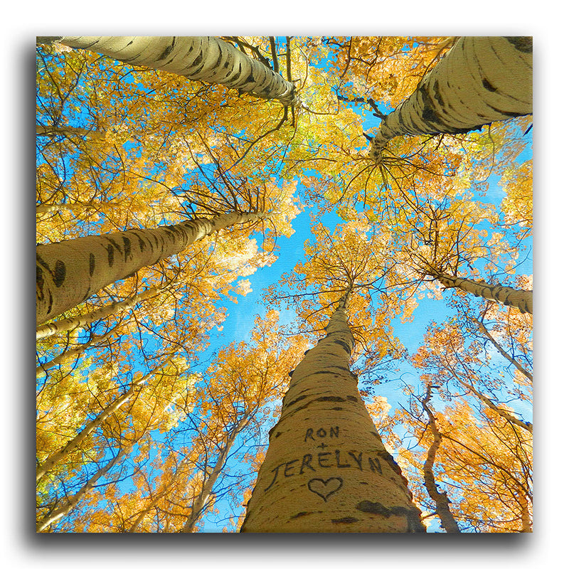 Aspen Sky Personalized Stretched Canvases