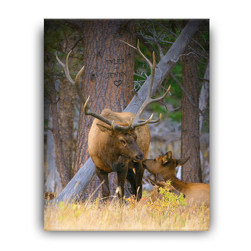 Woodland Sweethearts Personalized Wall Art