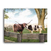 Longhorn Love Personalized Wall Art
