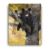 Bear Cub Love Personalized Stretched Canvas - Medium