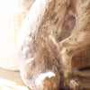 Rustic Fox Sculpture - OUT OF STOCK UNTIL 07/09/2026