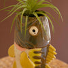 Largemouth Bass Vase
