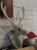 Recycled Wood Deer Head Wall Hanging