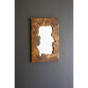 Live Edge Teak Mirror