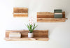 Natural Edge Floating Shelves - Set of 3
