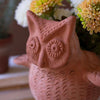 Owl Terracotta Planter - OUT OF STOCK UNTIL 06/17/2026