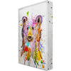 Crazy Bear Metal Box Wall Art