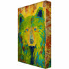 Blue Eyes Metal Box Art