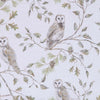Owl's Rest Placemats - Set of 4