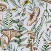 Magic Woodland Placemats - Set of 4