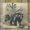 Rocky Mountain Bear Dishtowels - Set of 4