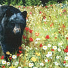 Springtime Bears Placemats - Set of 4