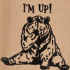 Morning Cheer Bear Dishtowels - Set of 4