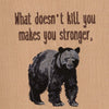 Don't Mess With Bears Dishtowels - Set of 4