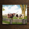 Longhorn Love Personalized Wall Art