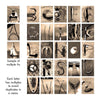 Antler Letters Personalized Wall Art