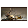 Majestic Elk Float Framed Canvas Wall Art