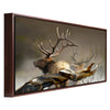 Majestic Elk Float Framed Canvas Wall Art
