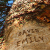 Upward Forest Personalized Block Mount Triptych