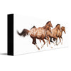 Personalized Free in Spirit Horse Stretched Canvas