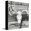 Barnwood Deer Skull Canvas Wall Art