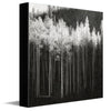 Frosted Treetops Canvas Wall Art